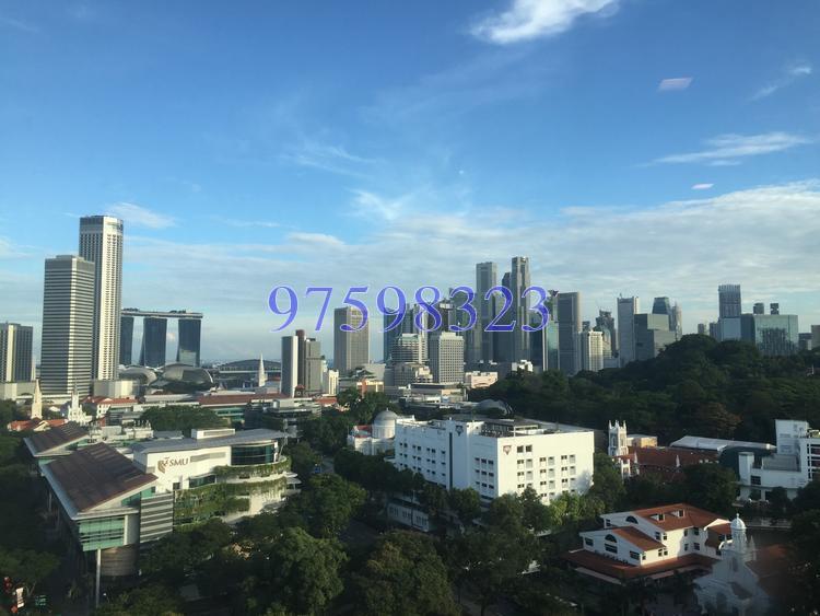 The Cathay Residence thumbnail photo